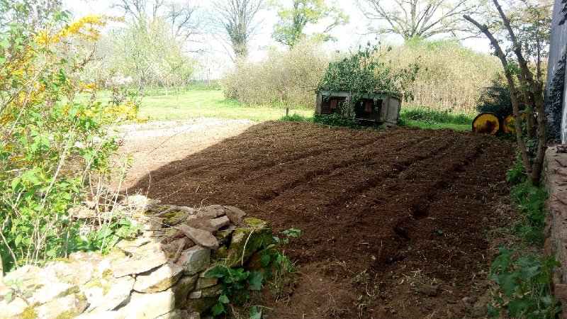 potato-patch-2-after1280.jpg