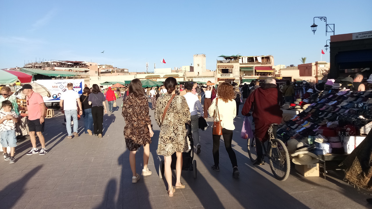 [Obrazek: IMG-20260224-172410-474.jpg]