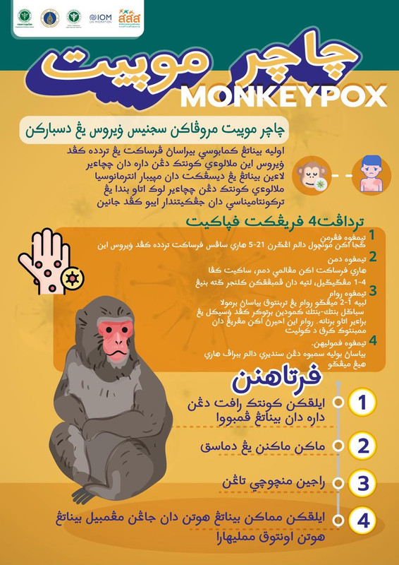 ความรู้เรื่องโรคฝีดาษลิง MONKEYPOX 5 ภาษา
