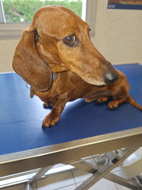 [Image: 20240605-160230.jpg]