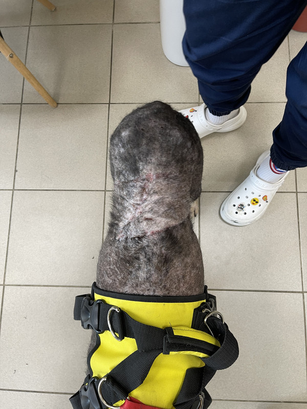 DFA25922-B043-45A5-BFA5-B7D0EC7A970E