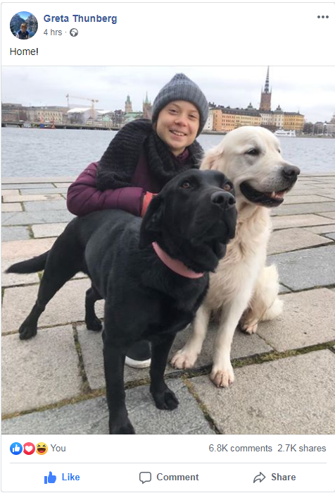 White-and-dark-dog.png
