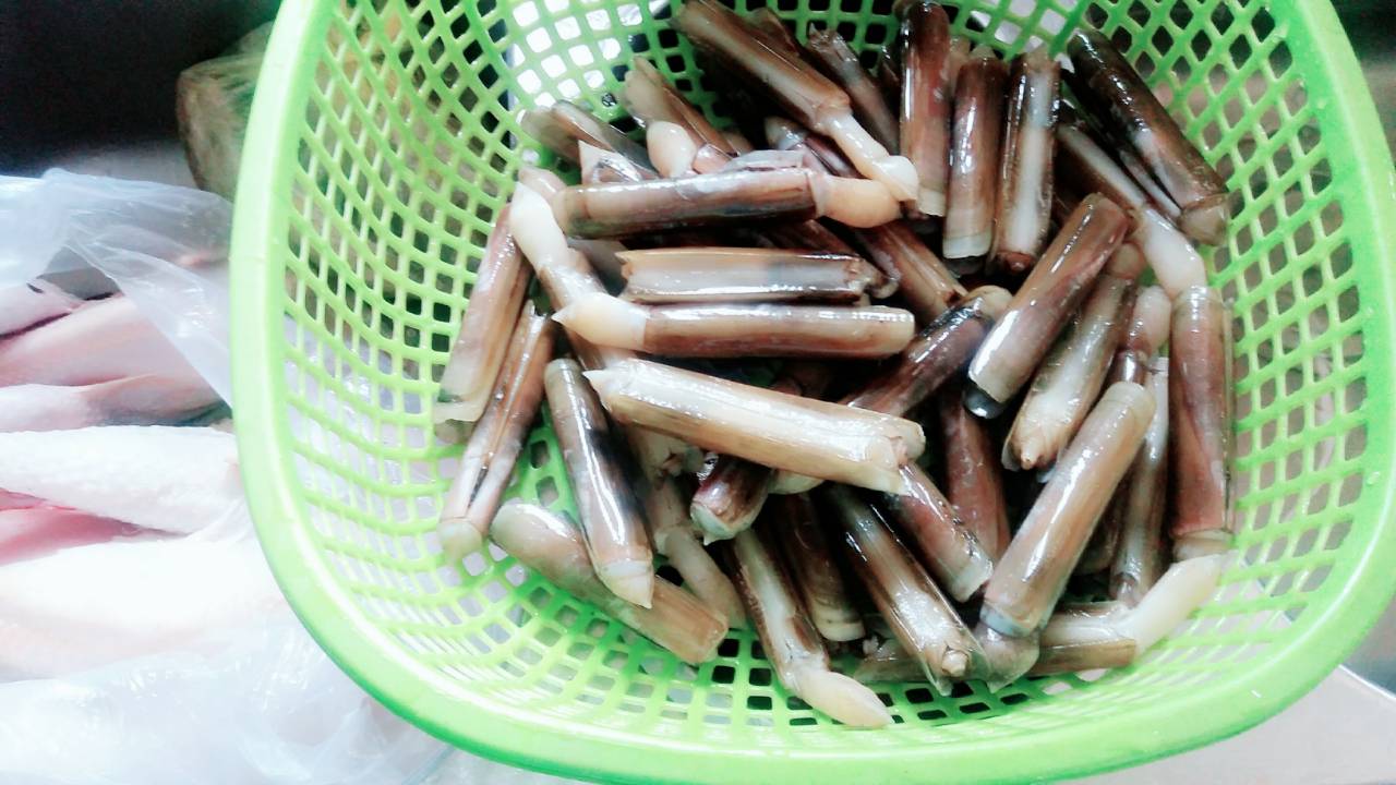 [Image: 44845549-2586071518074971-2298270771417448448-o.jpg]