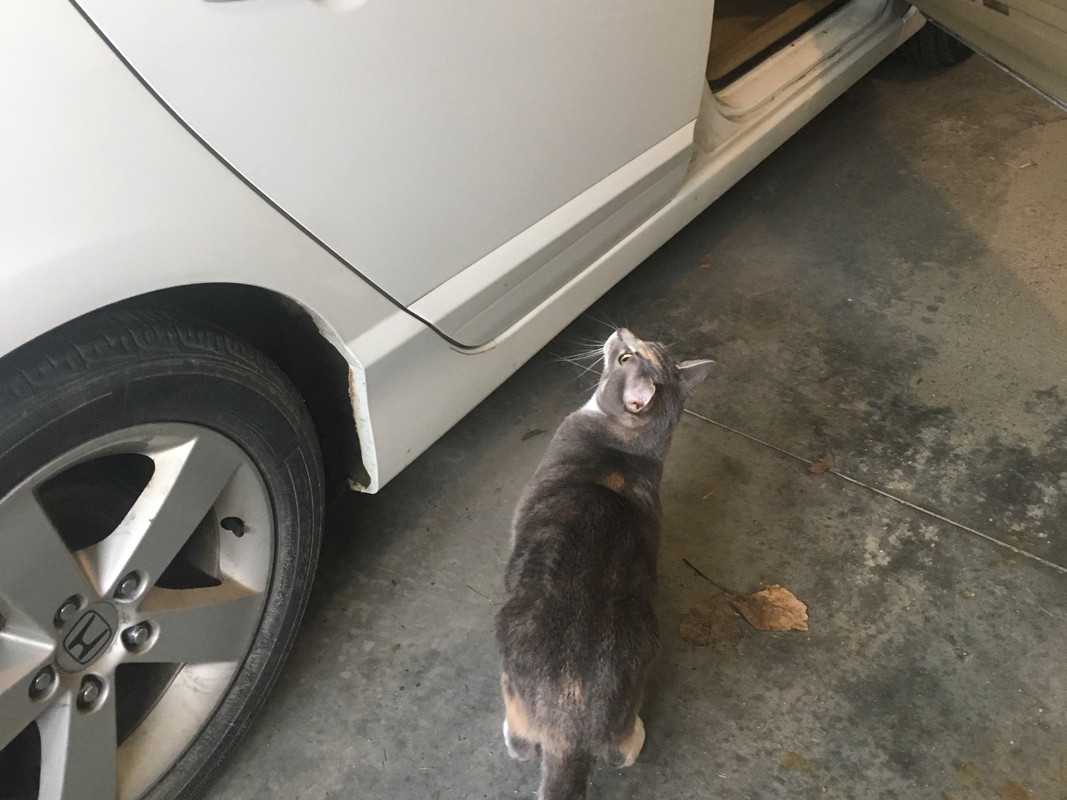 2023-05-22 11.44.58_1