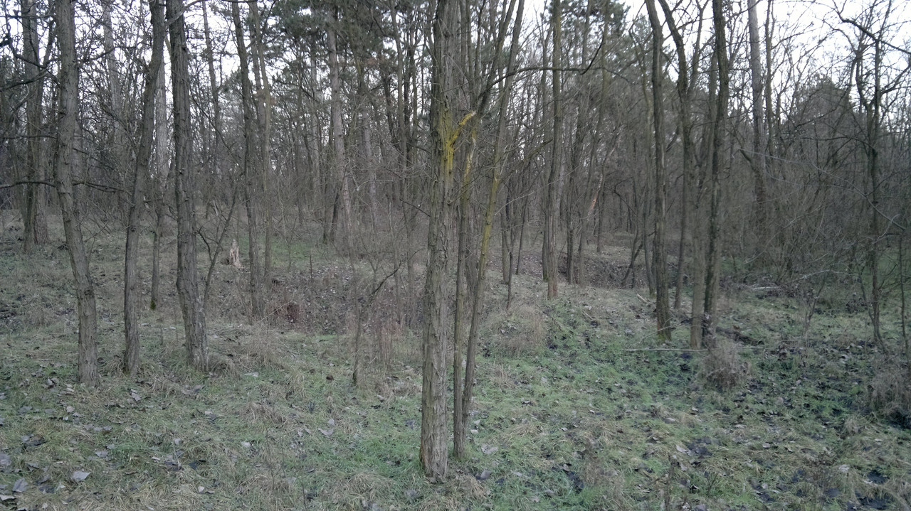 201A Kálvária erdőben lévő bombatölcsérek,vagy inkább robbantógö