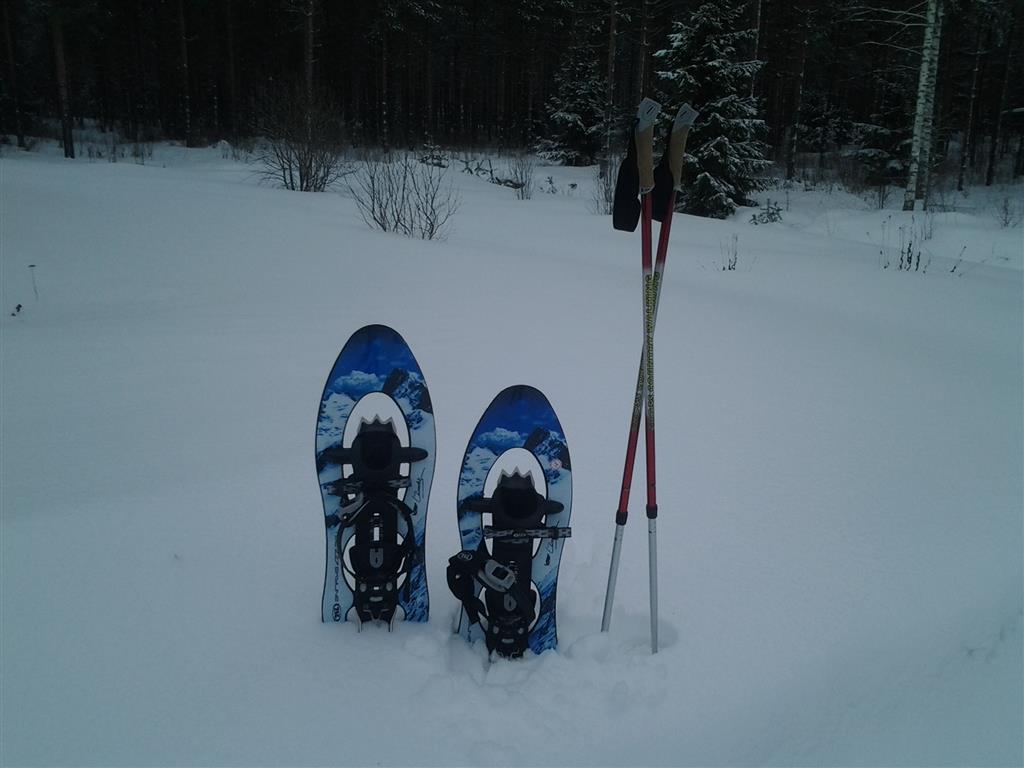 2015-01-31 10.03.59 (Medium)