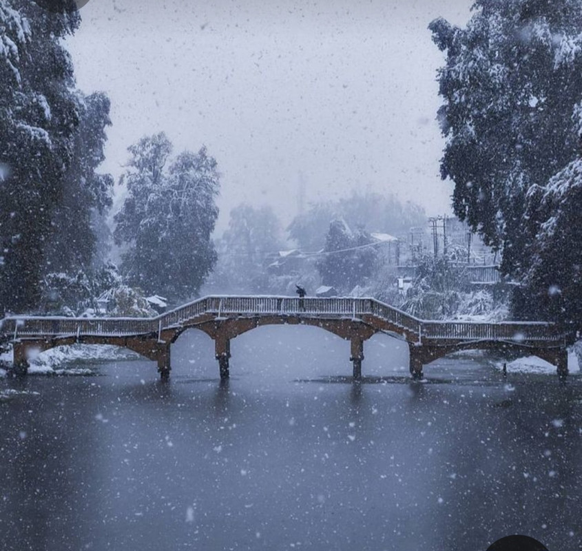 Screenshot_20230314_224156_Pinterest