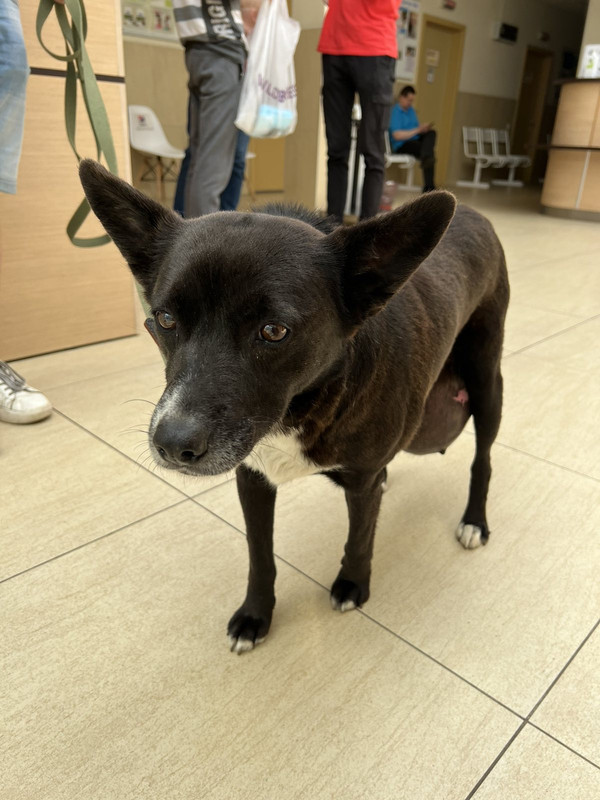 FFDF312D-AB6D-48A6-9A25-A51B9802FECA