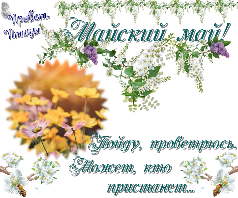 https://i.postimg.cc/G2XRjxCk/02-05.png