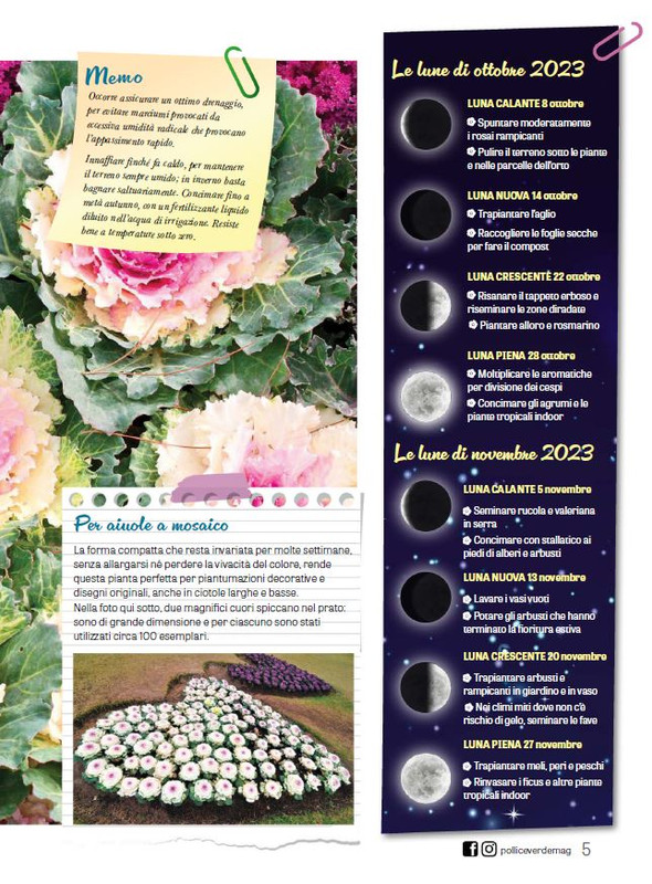 Pol Ver Ott-Nov 2023 (2)