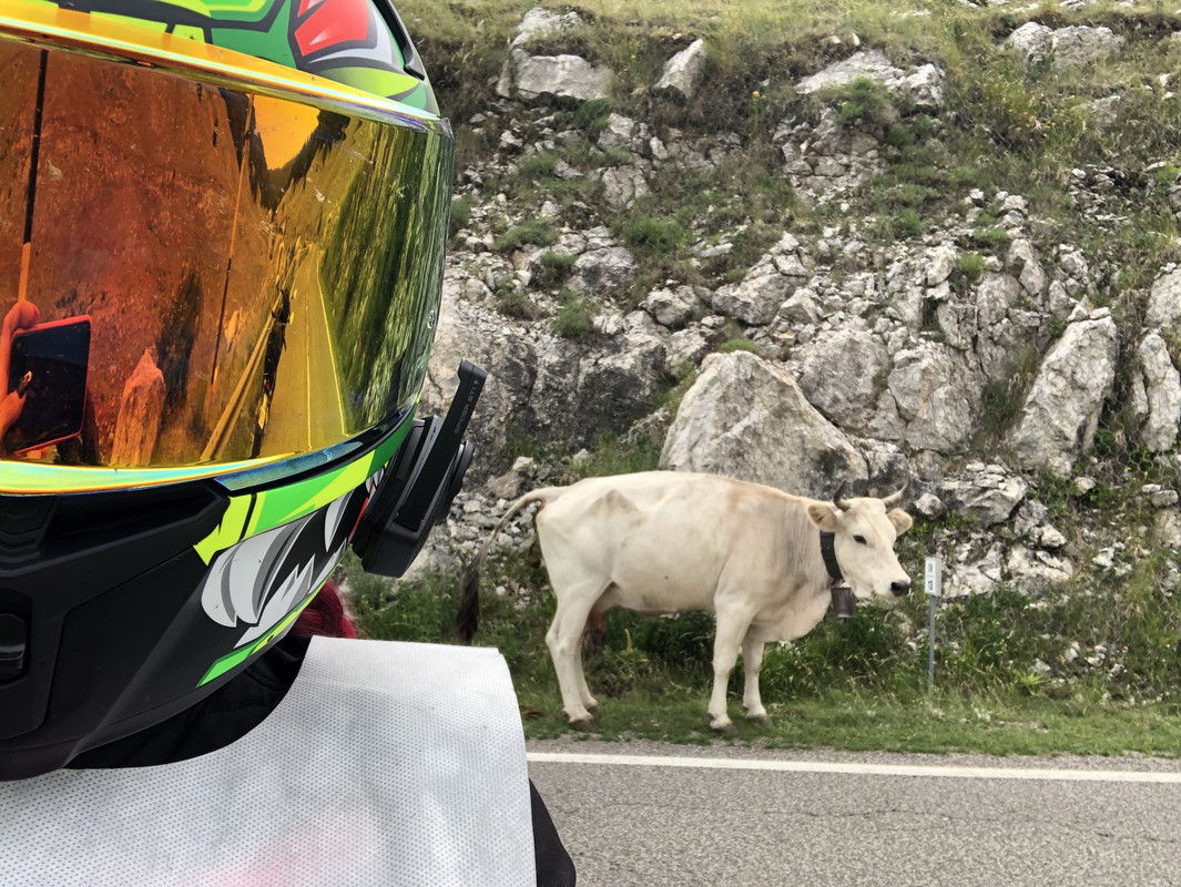 CC4B6E7C-B4BD-4F31-BFD1-15DCFFFEFA9A