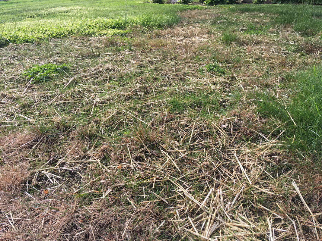 6DCCAD9A-9673-4154-BB41-A58393868AE7