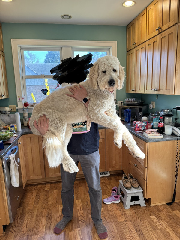 rex5