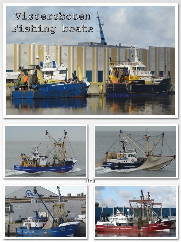 Welkom bij moby_dick