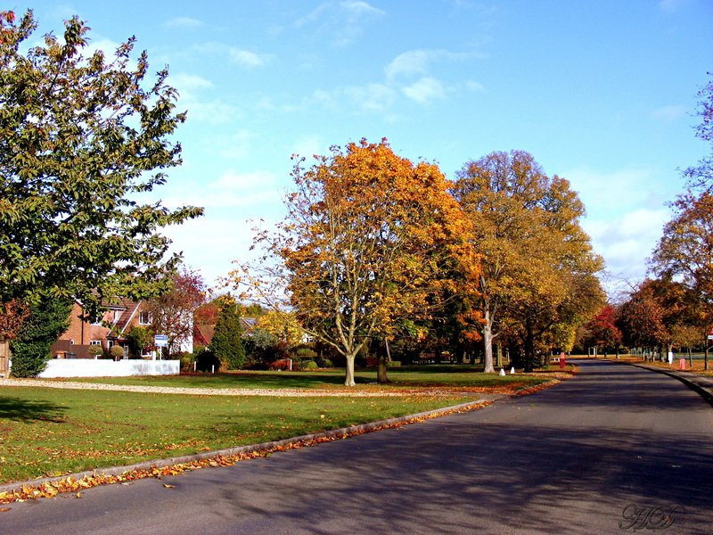 Autumn-village-road-HD.jpg