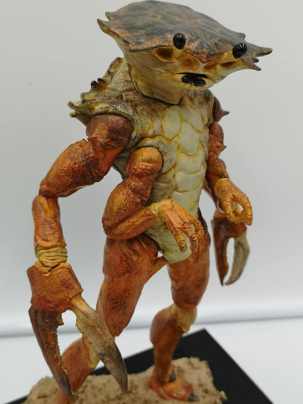 99005566_3477891478900388_4687496288600588288_n