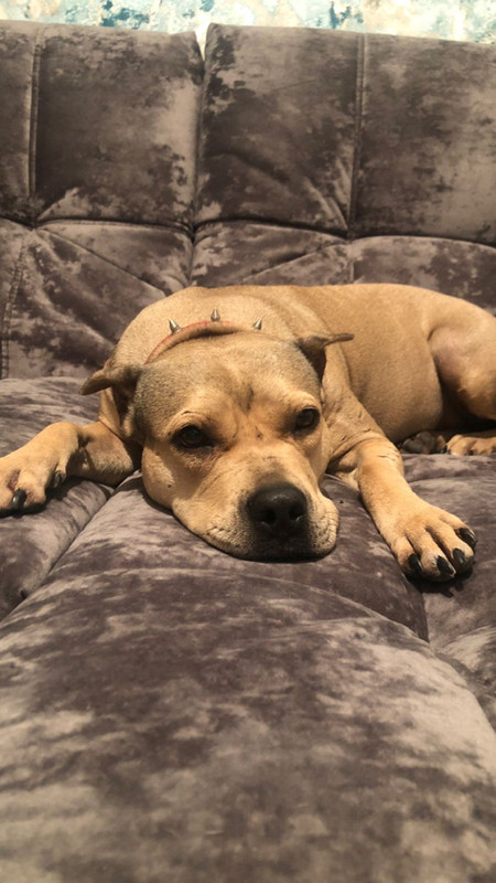 FA25F460-20BA-45D9-95DD-724A3C1D03D1