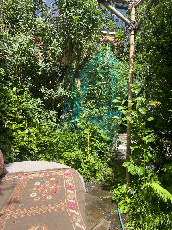 IMG-8935.jpg
