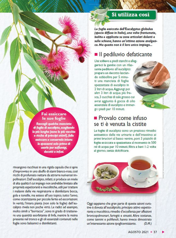 Sal Nat Ago 2021 (5)