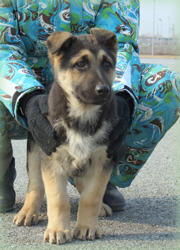 IMG_5685 - копия