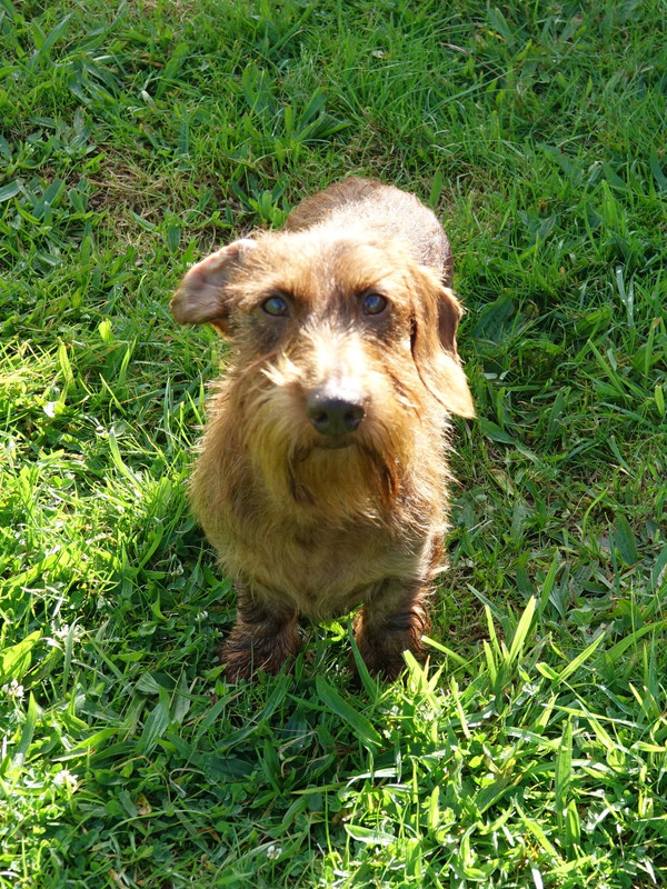 [Image: Od-on-4.jpg]