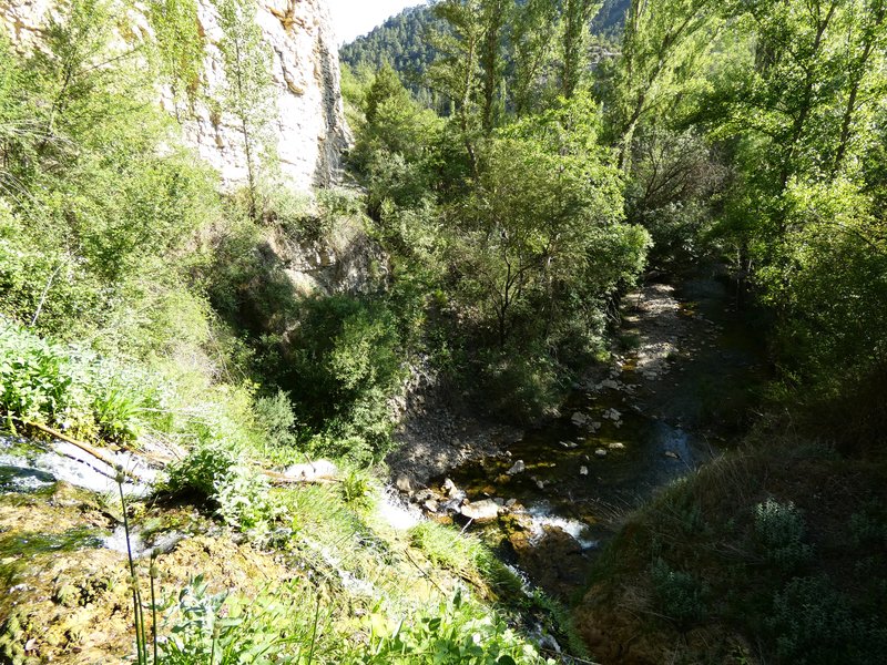 Cascada de Calicanto-12-6-2025 - Teruel y sus pueblos- (15)