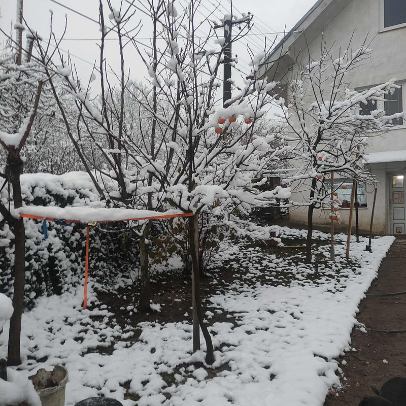 583085644 2404456426679964 475635844253591293 n