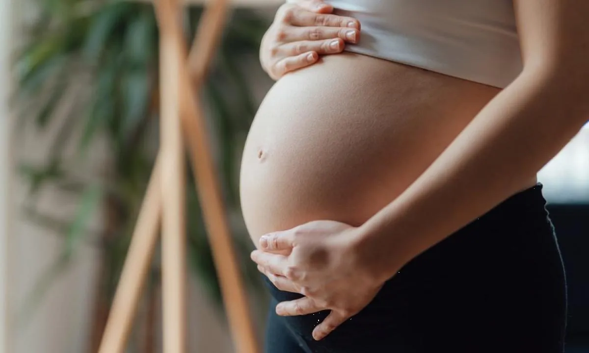 Embarazo: ¿Qué alimentos están prohibidos comer en esta etapa?