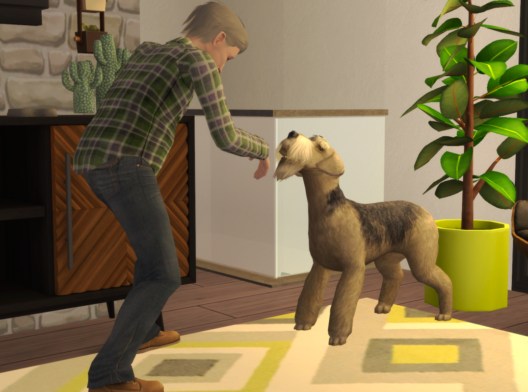 Sims2-EP9-RPC-2024-09-24-19-09-05-23