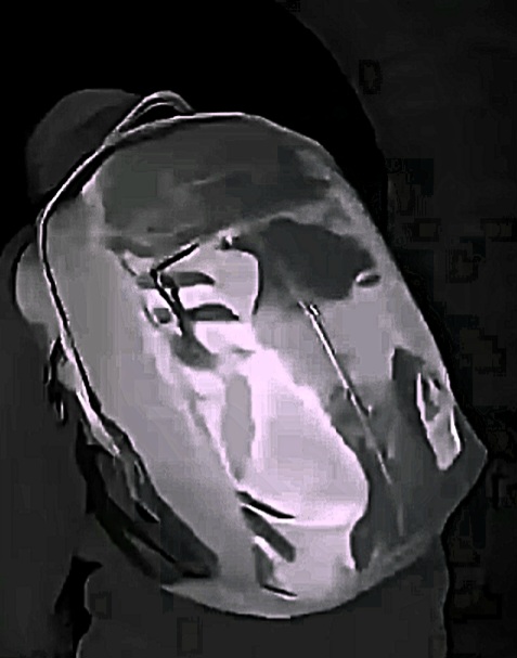 Screenshot 20260212 012143 Gallery