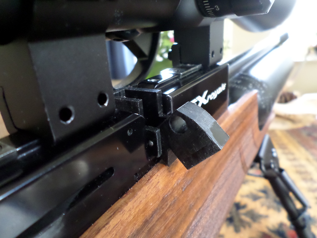 2015-02-28 11.05.29 (Large)