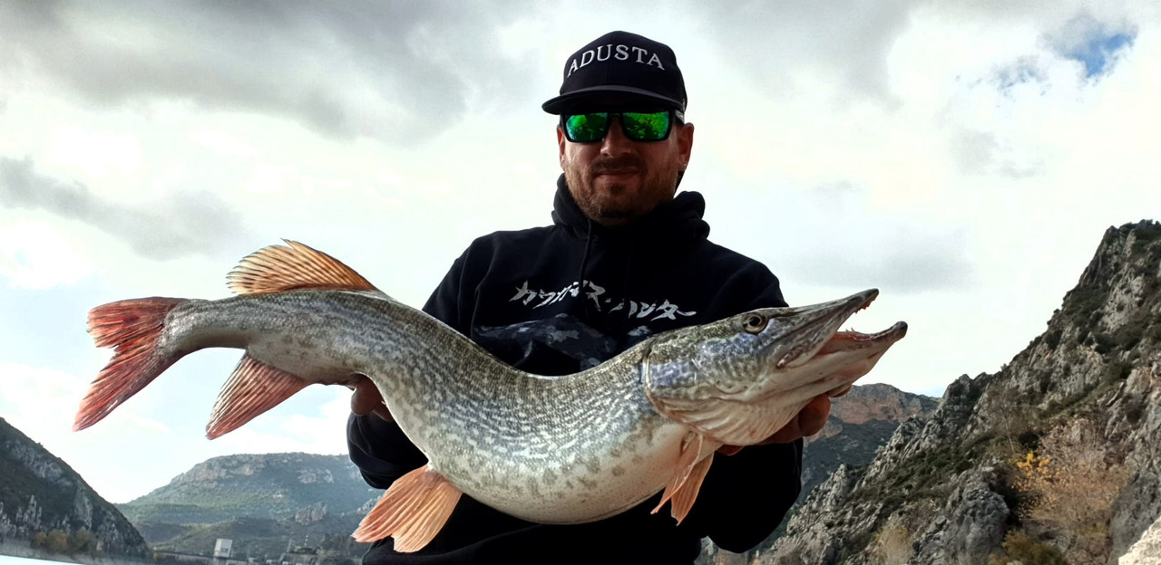 WhatsApp Image 2019-12-02 at 08.29.47 (2)