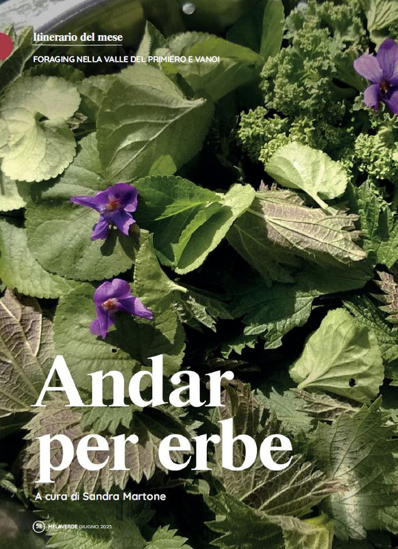 melaverde Giu 2023 (5)