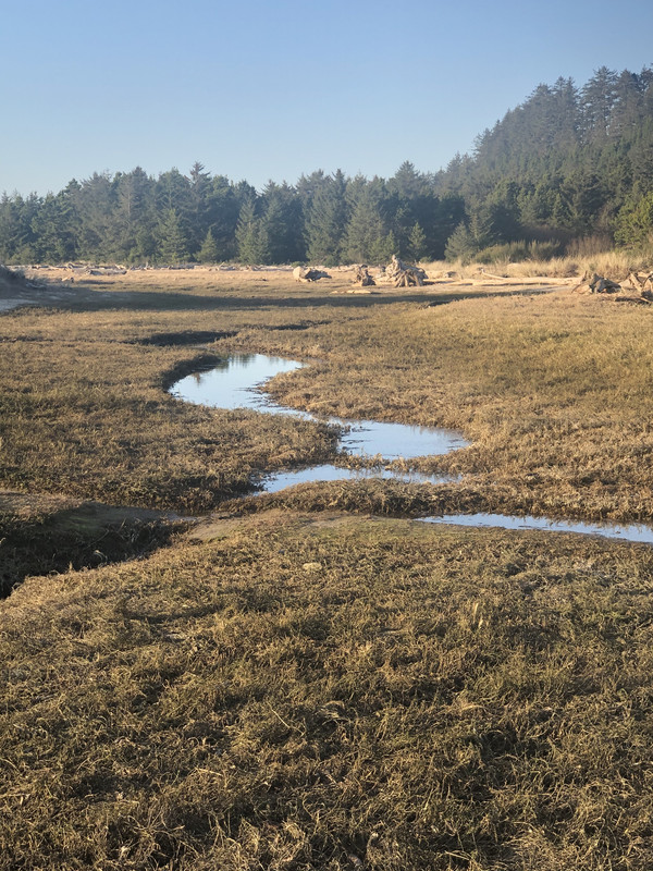 A64BE25A-7AD7-4052-B510-490545C34FFA