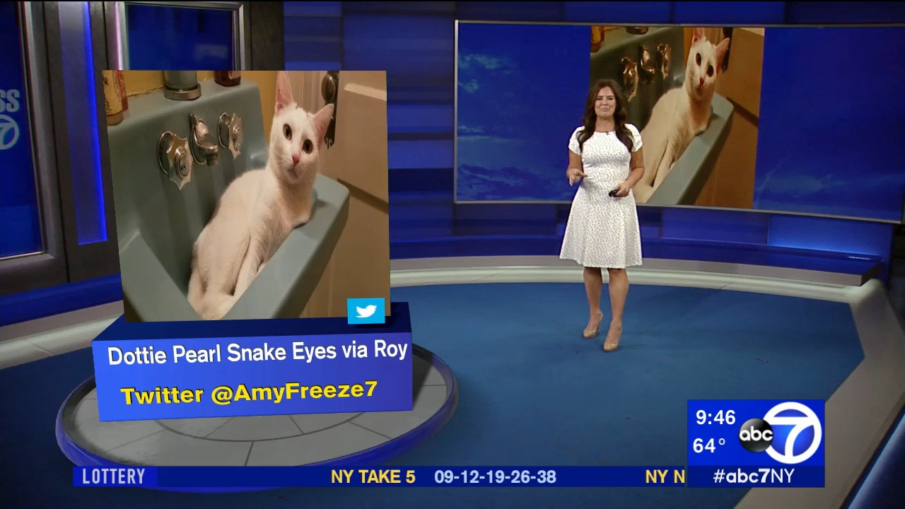 13 June - 14.00.00 - Eyewitness News This Morning..ts_snapshot_00.47.55.766