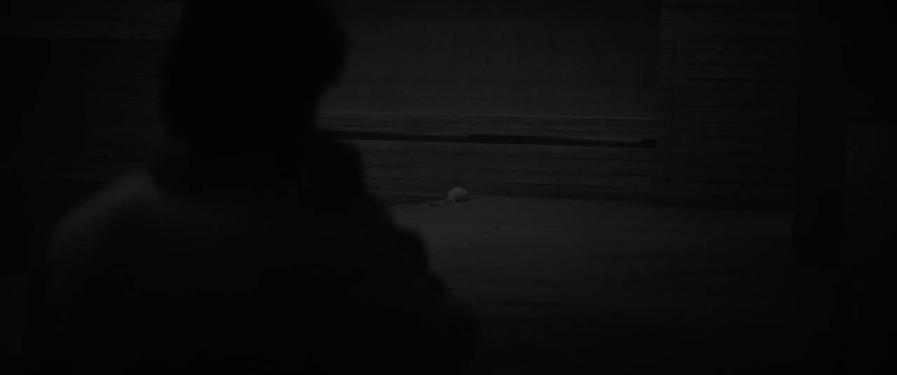 vlcsnap 2026 04 05 13h20m44s366