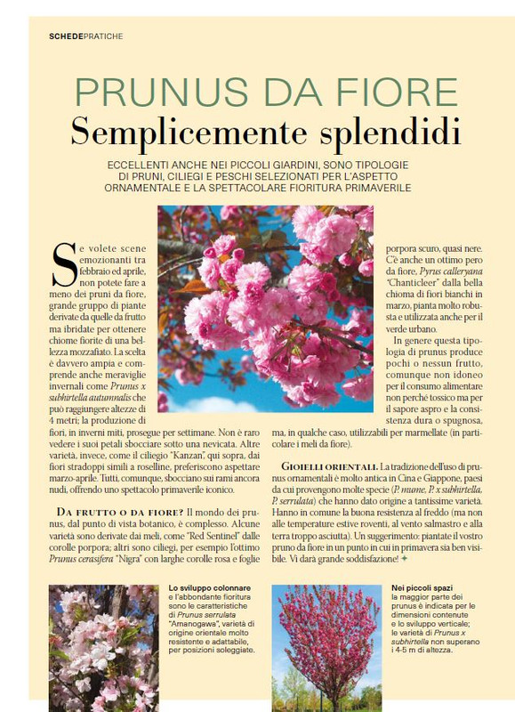 il mio Giar Feb-Mar 2025 (3)