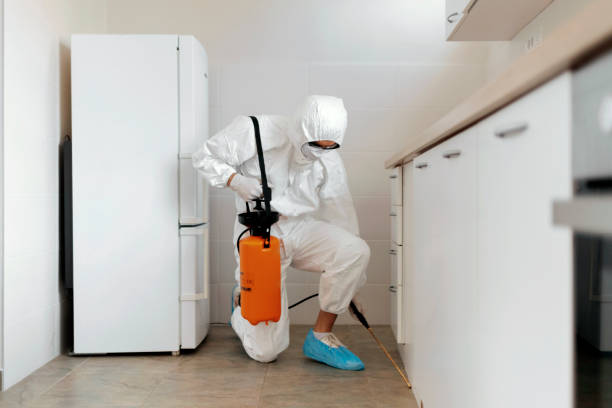Orlando Termite Treatment