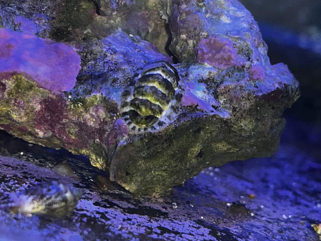 B2064162-4EC2-423D-82FA-E3EE7CB66A8D