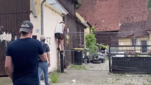 The-tragic-tale-of-Germanys-biggest-LOL-cow.gif