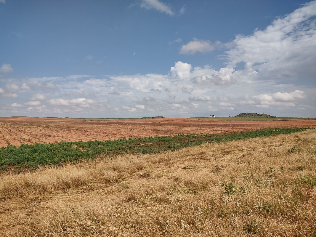 IMG_20250601_101907559_HDR