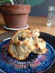 GAPS-Cookie-Nutrition-with-Confidence.jpg