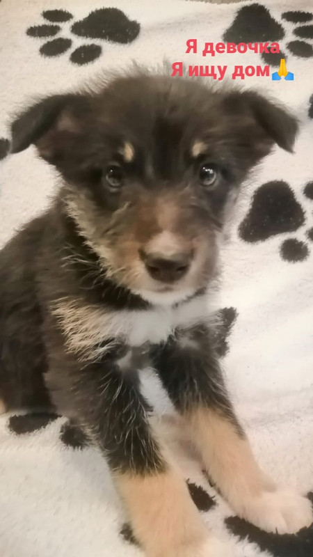 962340C2-C08A-45FD-B1C7-0CD0F077F3A0