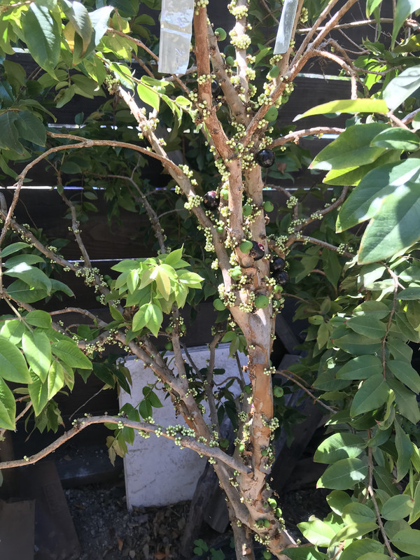 FD3E9520-6AF0-4656-BF4D-DCFCB5D85C06