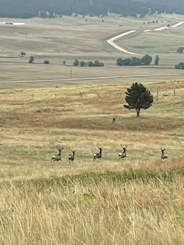 7-ED1-B4-BB-62-A7-4630-AC88-AD1-F00-A369