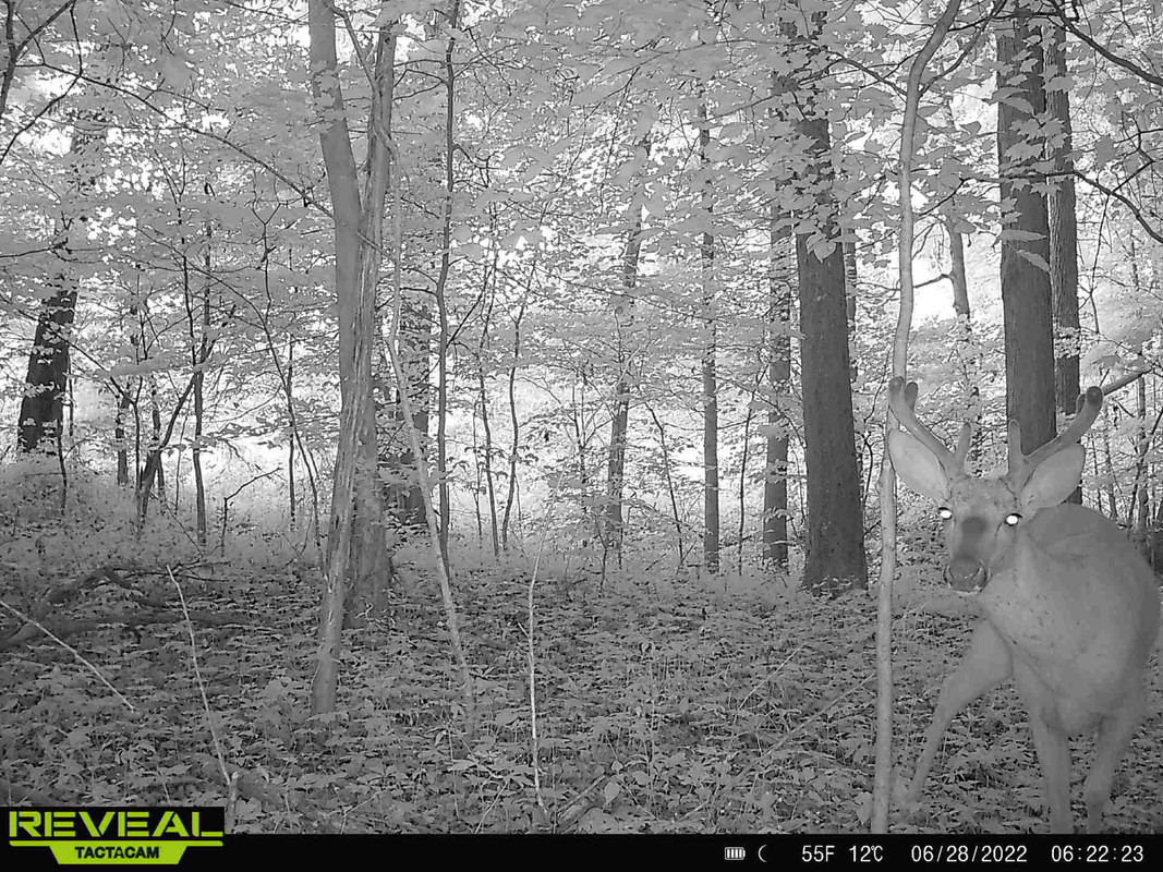 D97EC681-8A5D-4820-A743-AF3B927F2F49