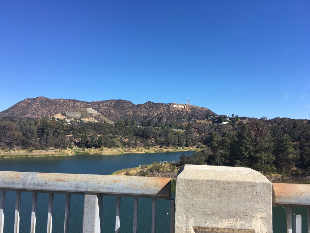 946-D895-F-9-CFB-4-A1-C-9-BAC-4-A1-DD7-DD9996-1-105-c