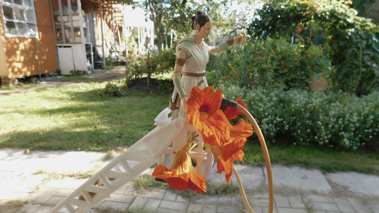 Август дачный кукольный 2023 429