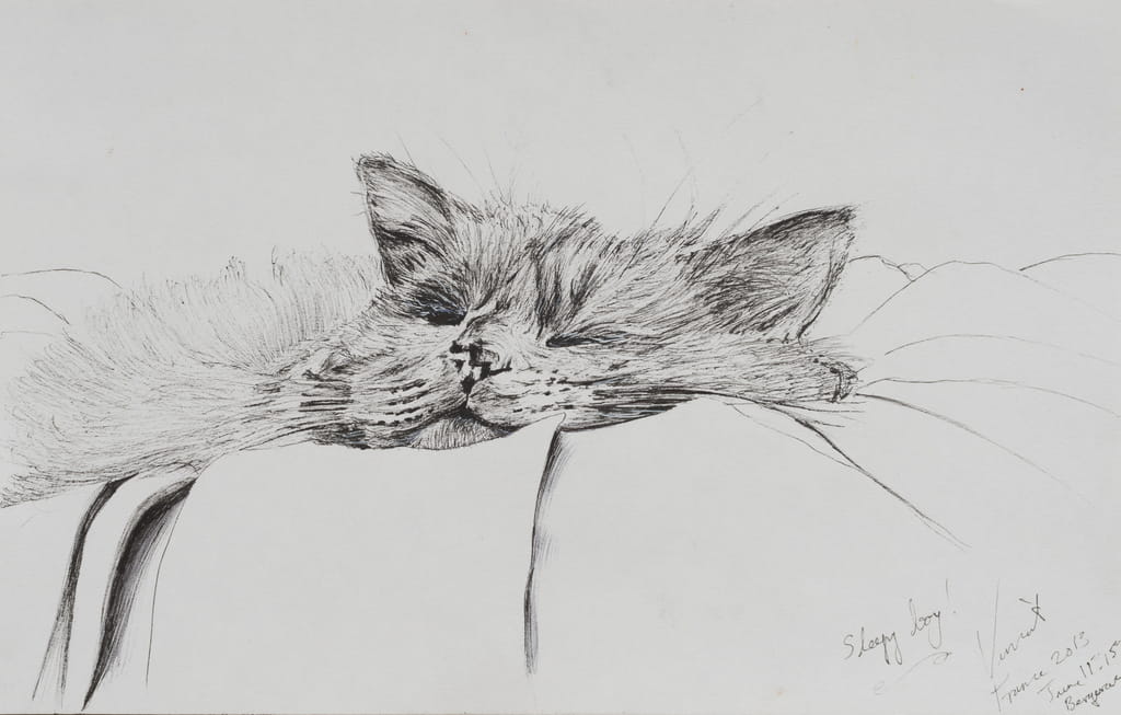 Vincent-Alexander-Booth-Monty-sleepy-boy-2013-Ink-on-paper-Meister-Drucke-156553
