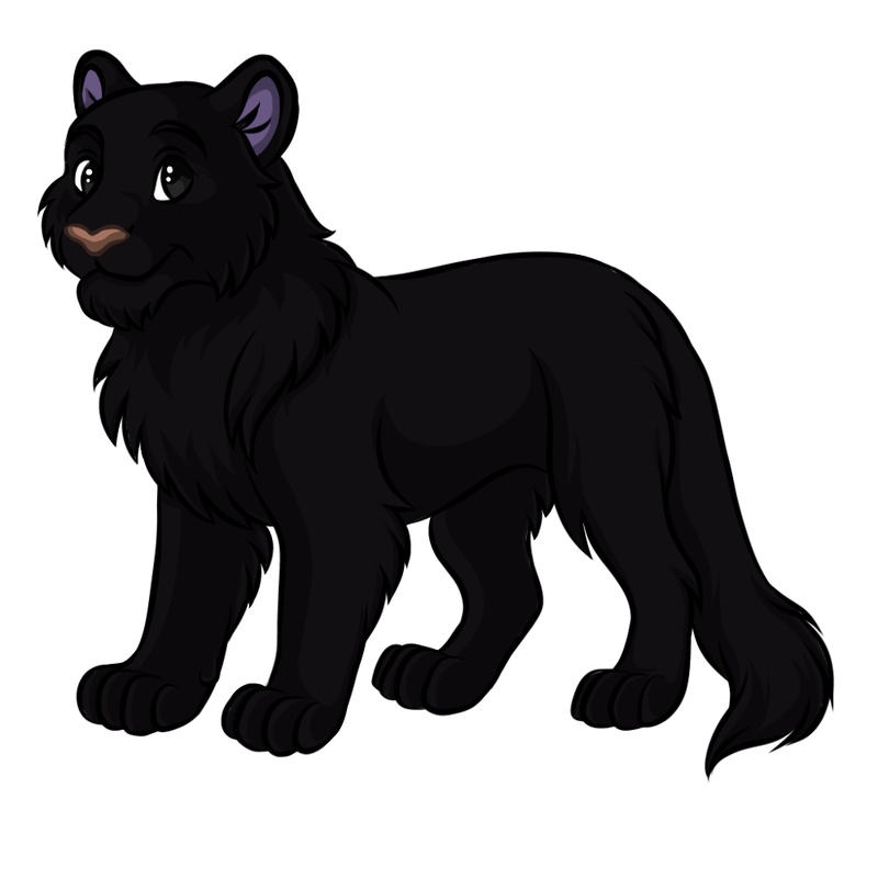 Jiji